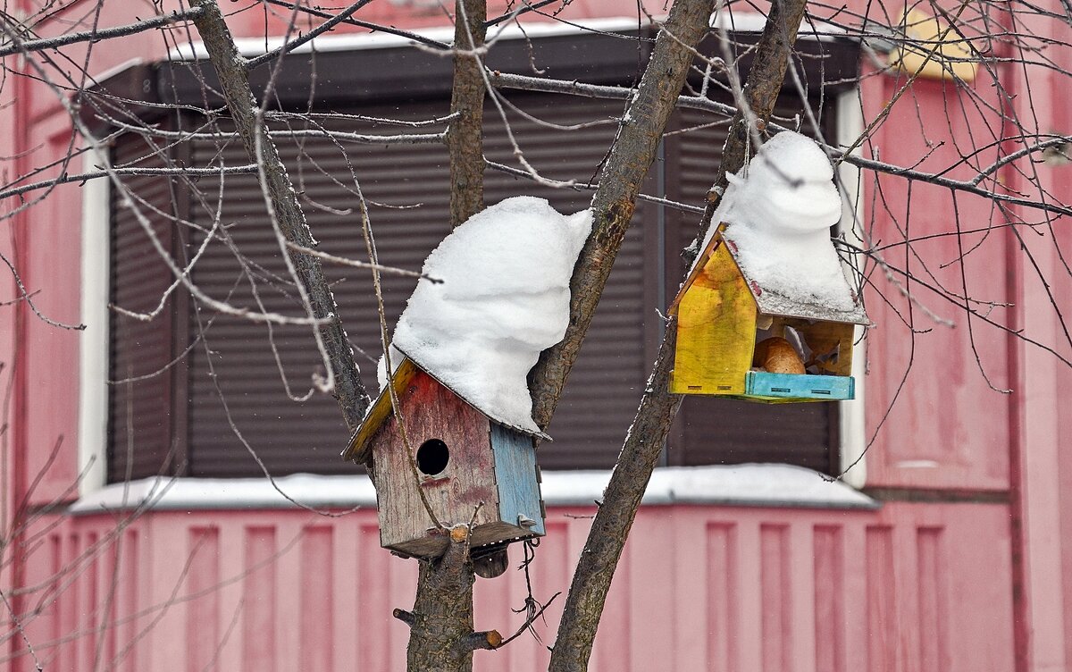 В снежных шапочках - Валерий Иванович