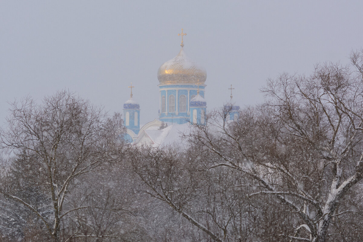в метель - Виталий Емельянов