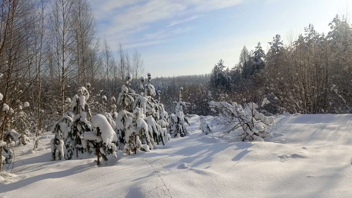 Холодный день января. - Михаил Колосов 