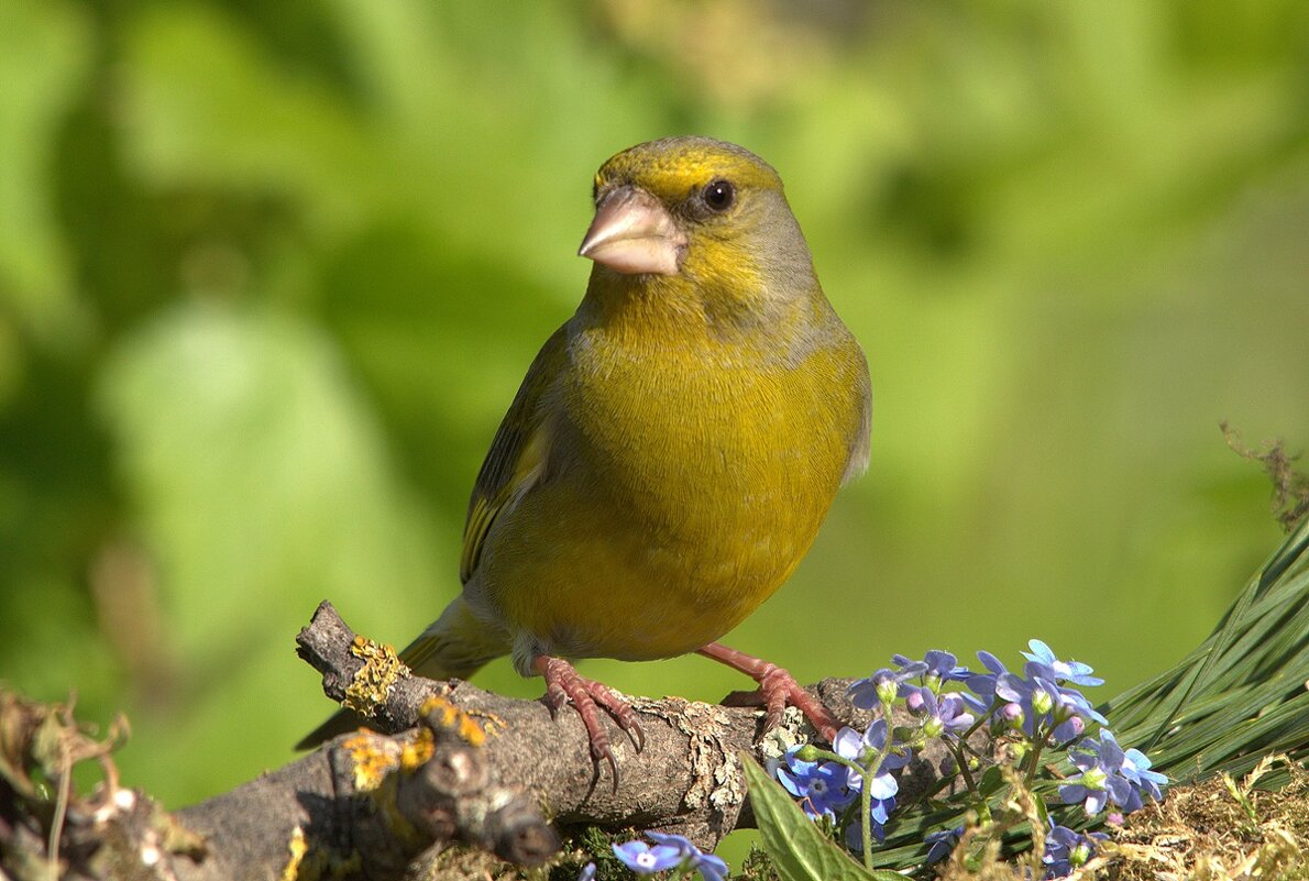 ... - Вячеслав Минаев