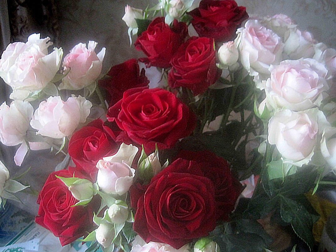 С ТАТЬЯНИНЫМ ДНЕМ.ВСЕМ ИМЕНИННИЦАМ СЧАСТЬЯ,ЗДОРОВЬЯ,ЛЮБВИ! - Елена Семигина