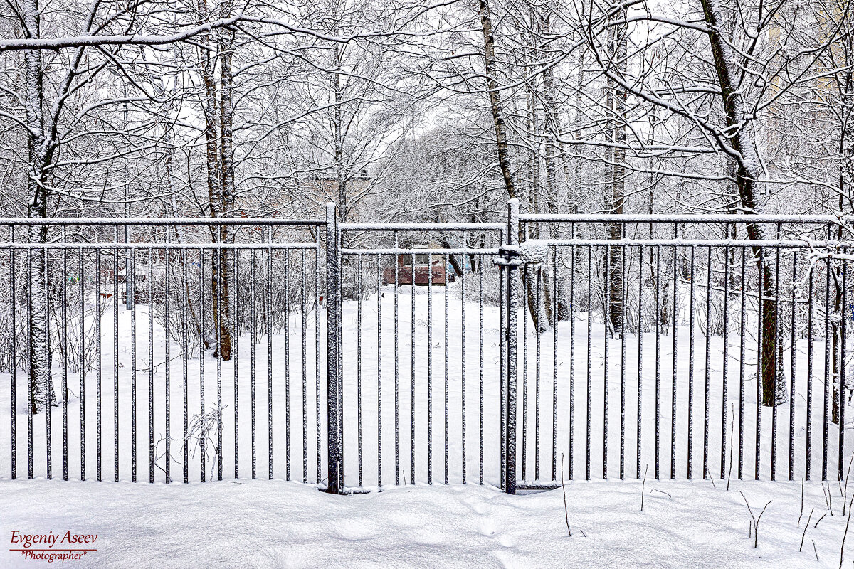 Зимнее кружево - Евгений 