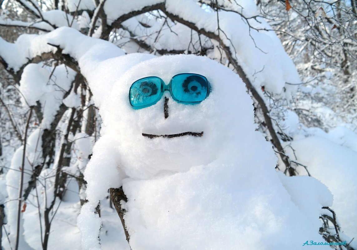 С Днём счастливых снеговиков! :-) - Андрей Заломленков