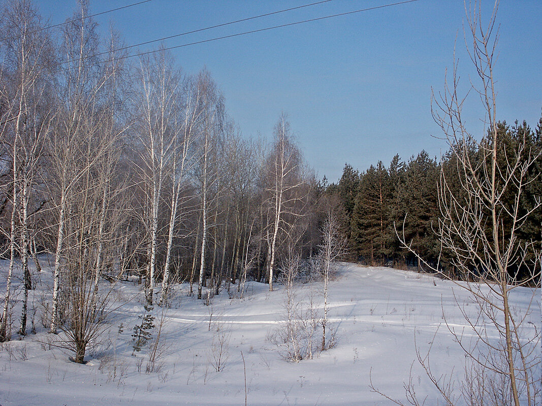 Зимний день - MILAV V