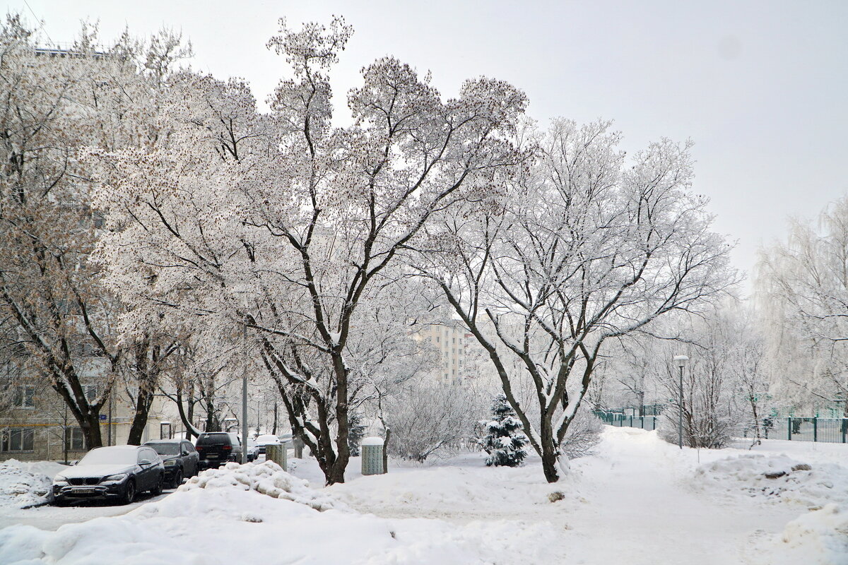 Московский январь - Юрий Шувалов
