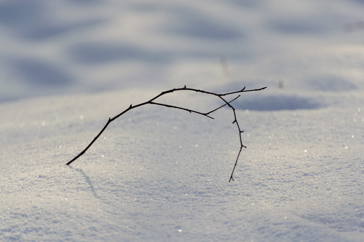 В парке. Мороз. - Андрей Андрианов