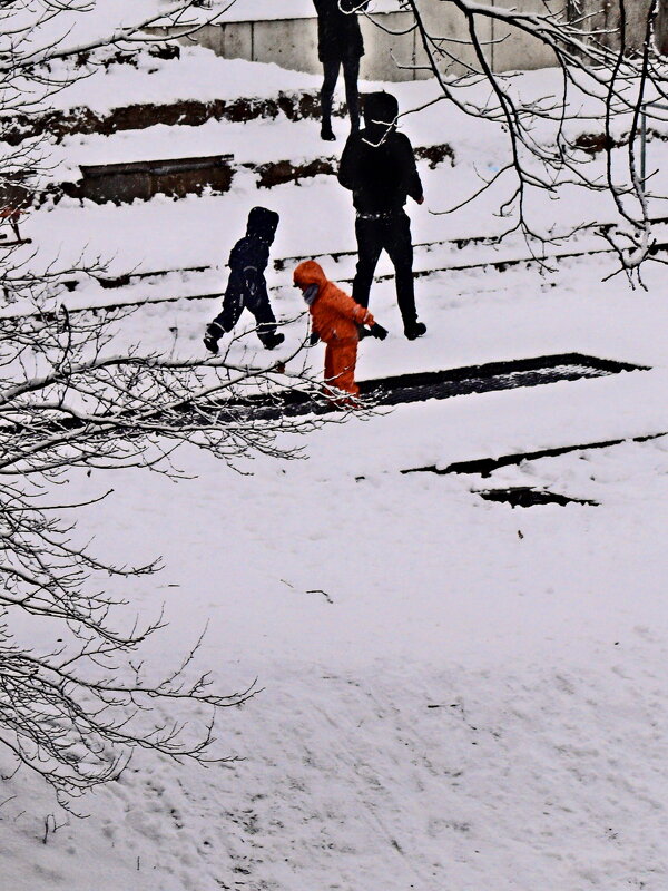 Южная зима - 15 - Алексей Кузнецов