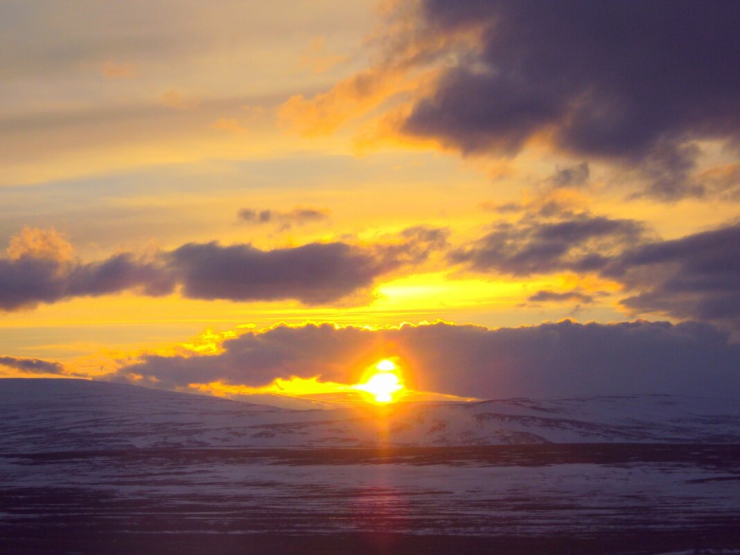 ЯМАЛ - Tata Wolf ЯМАЛ - Tata Wolf