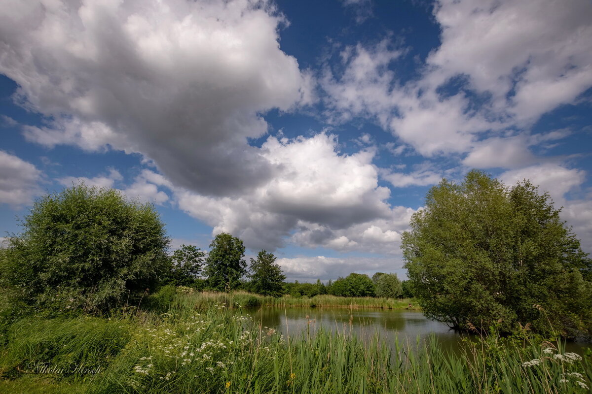 Майское... - Николай Гирш Майское... - Николай Гирш