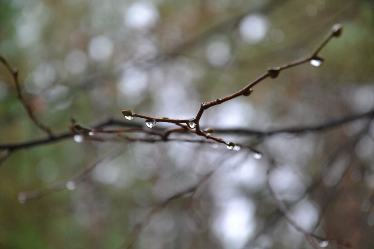 Капли - Prizrak 777