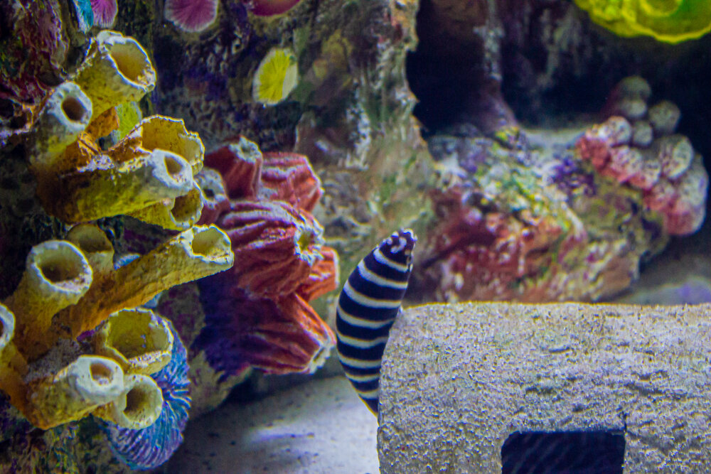 Анталия Аквариум - Светлана SvetNika17