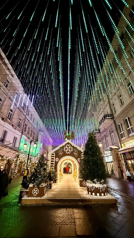 «Новогодняя Москва»‘ 2026 - Арина Невская «Новогодняя Москва»‘ 2026 - Арина Невская