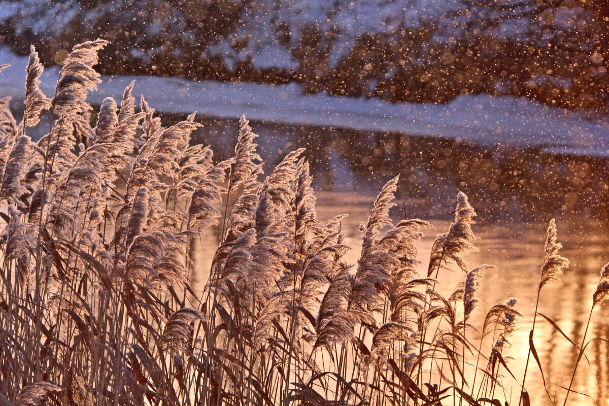 январский вечер... - Александр Герасенков январский вечер... - Александр Герасенков