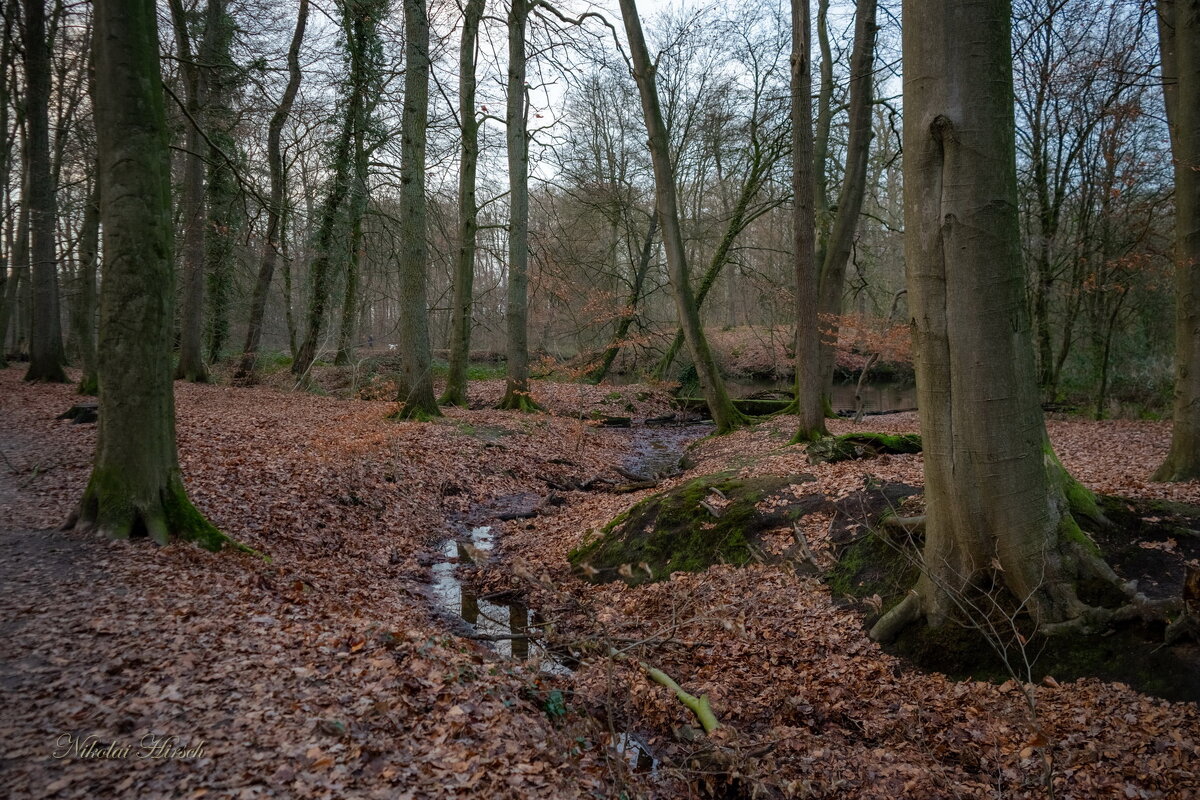 По лесопарку... - Николай Гирш