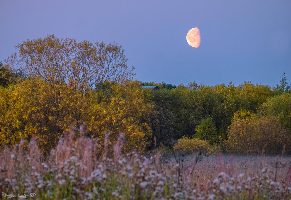Лунный осенний вечер в окрестностях Ухты. - Николай Зиновьев