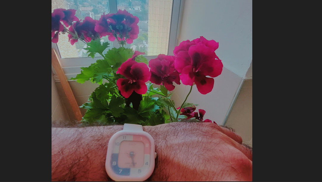 13  ОПЕН (857) - OPEN WAYS ALL