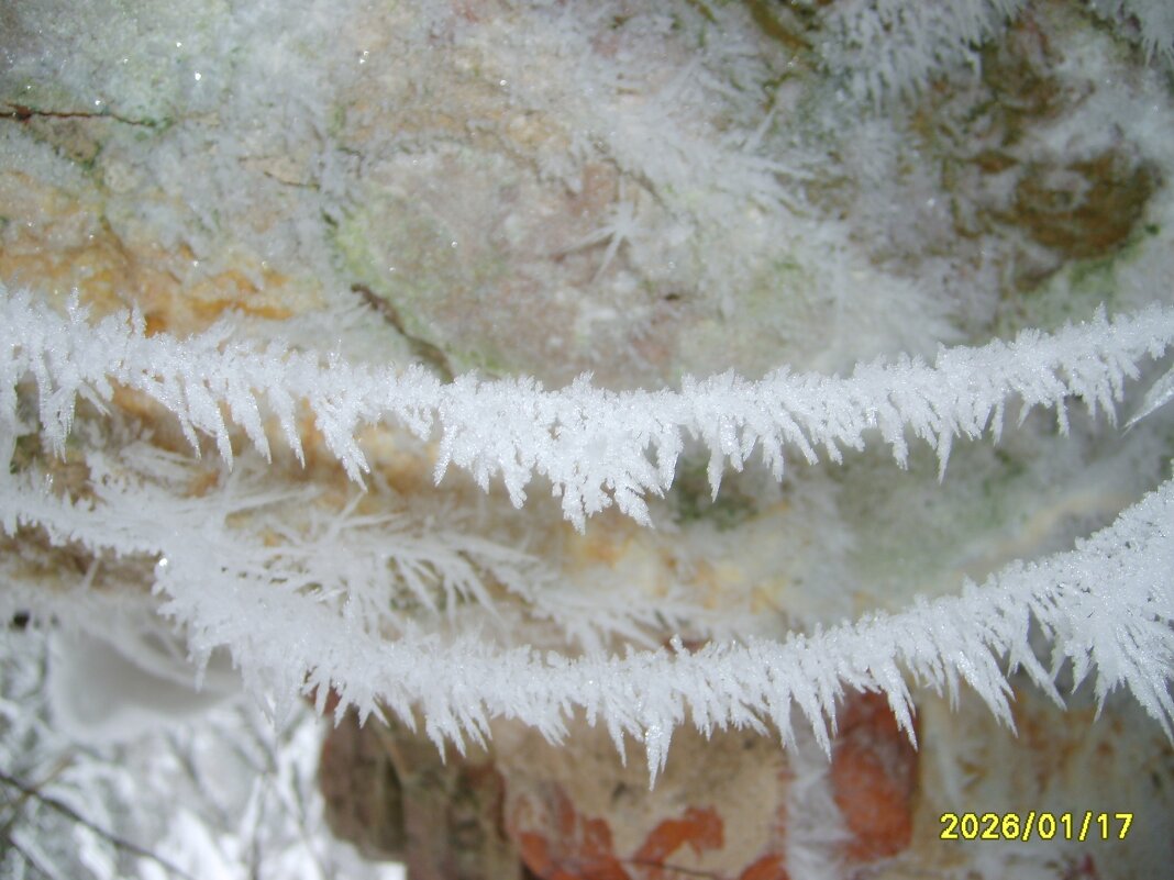 Паутина в инее - fogmeadowww m