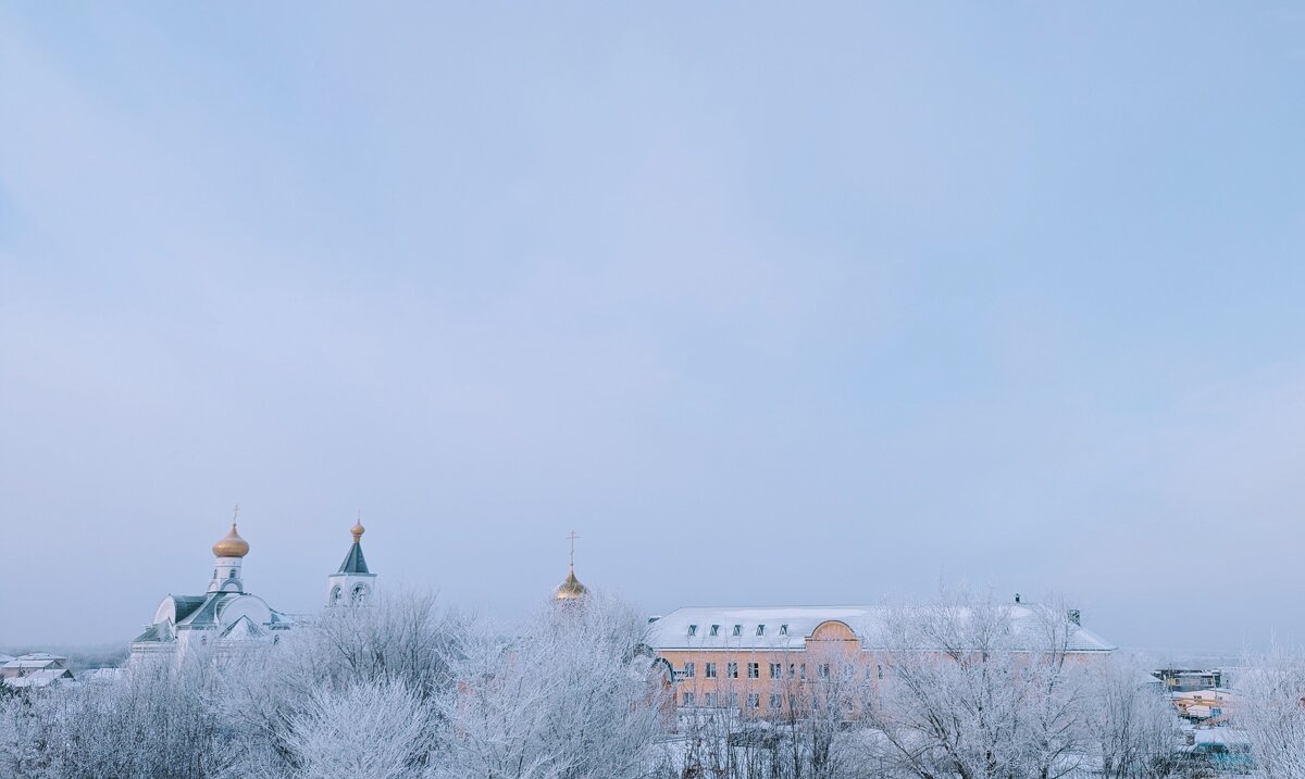 Зимний день - Андрей Хлопонин