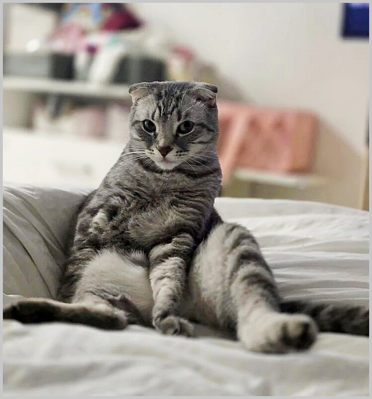 Хозяин - Ольга Довженко