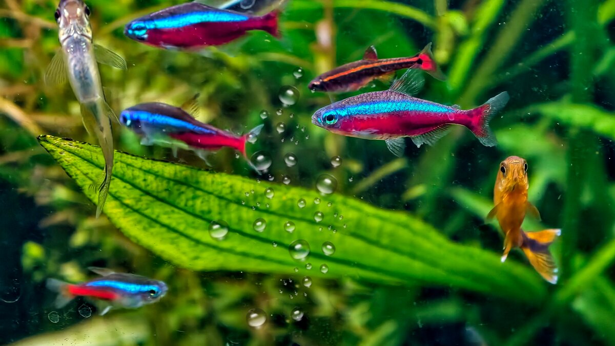 Мир подводного царства - Мариша 