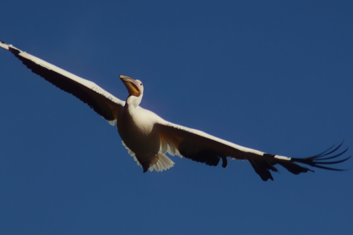 Иду на посадку - Юрий. Шмаков