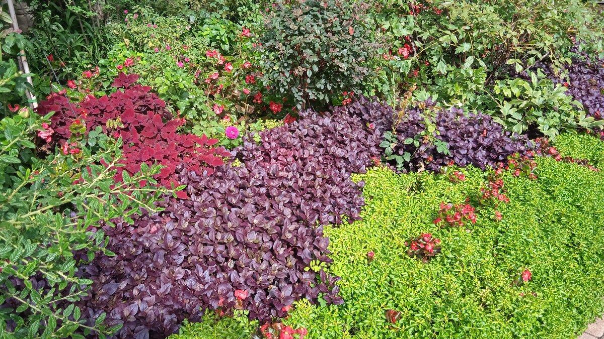 Старый парк - Елена Шаламова