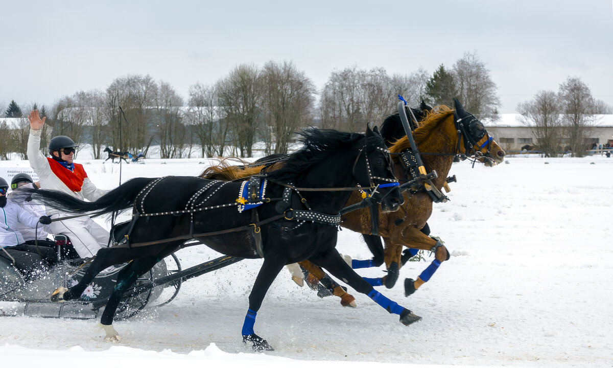 Тройка едет, тройка мчится... - Александр Силинский