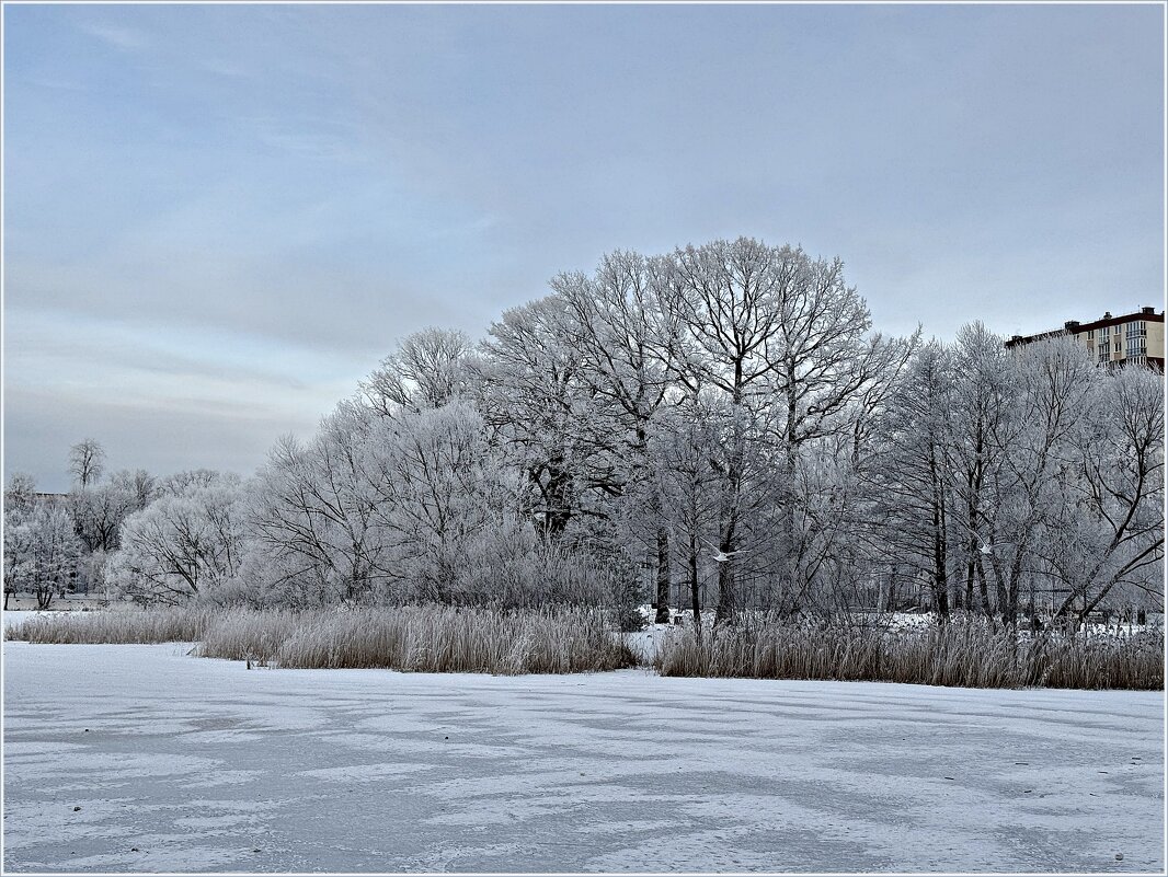 Зимний пейзаж. - Валерия Комова