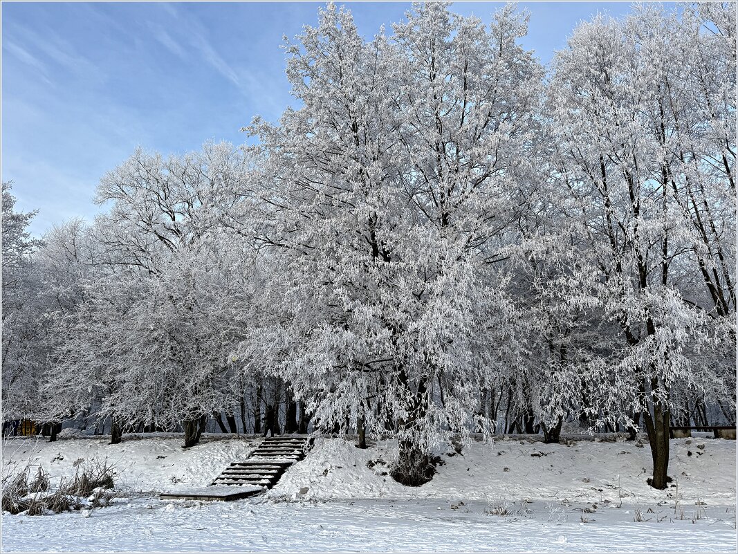 В зимнем парке. - Валерия Комова