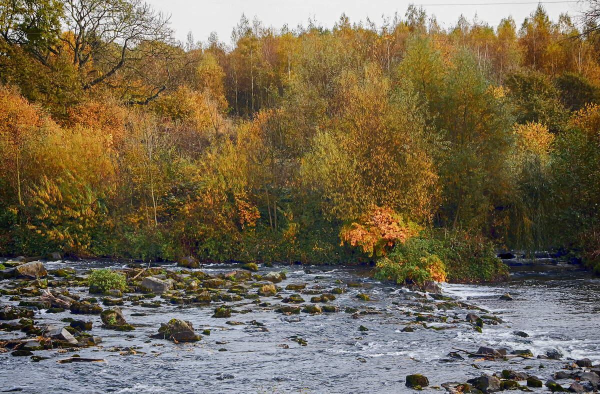 ***** - Андроник Александр 