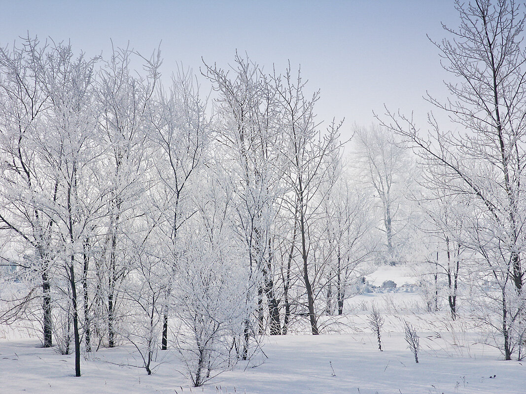 Зимний день - MILAV V