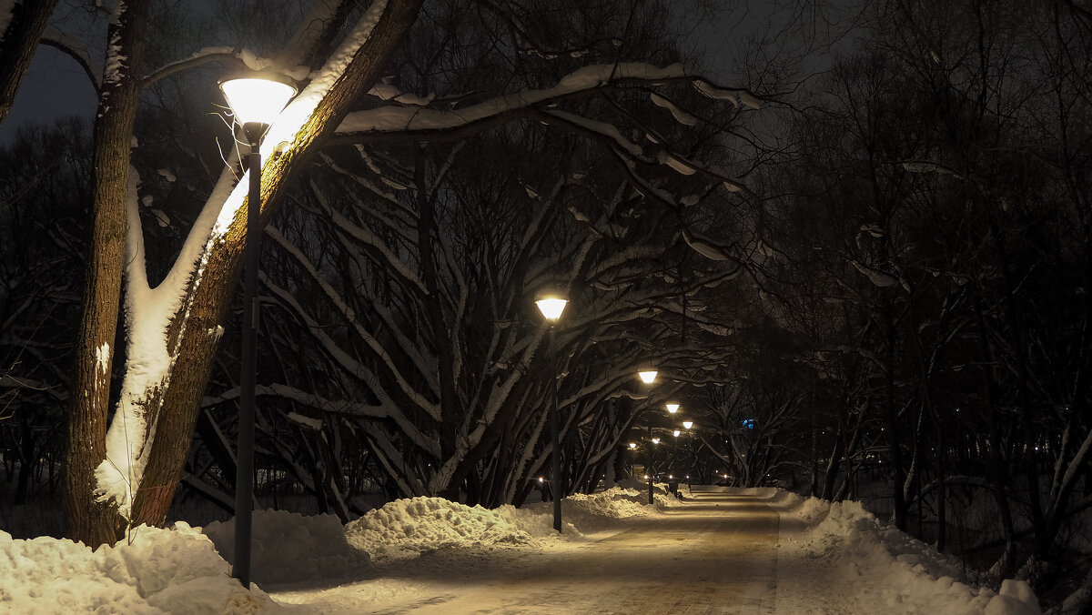 Вечер в Зимнем Парке - юрий поляков
