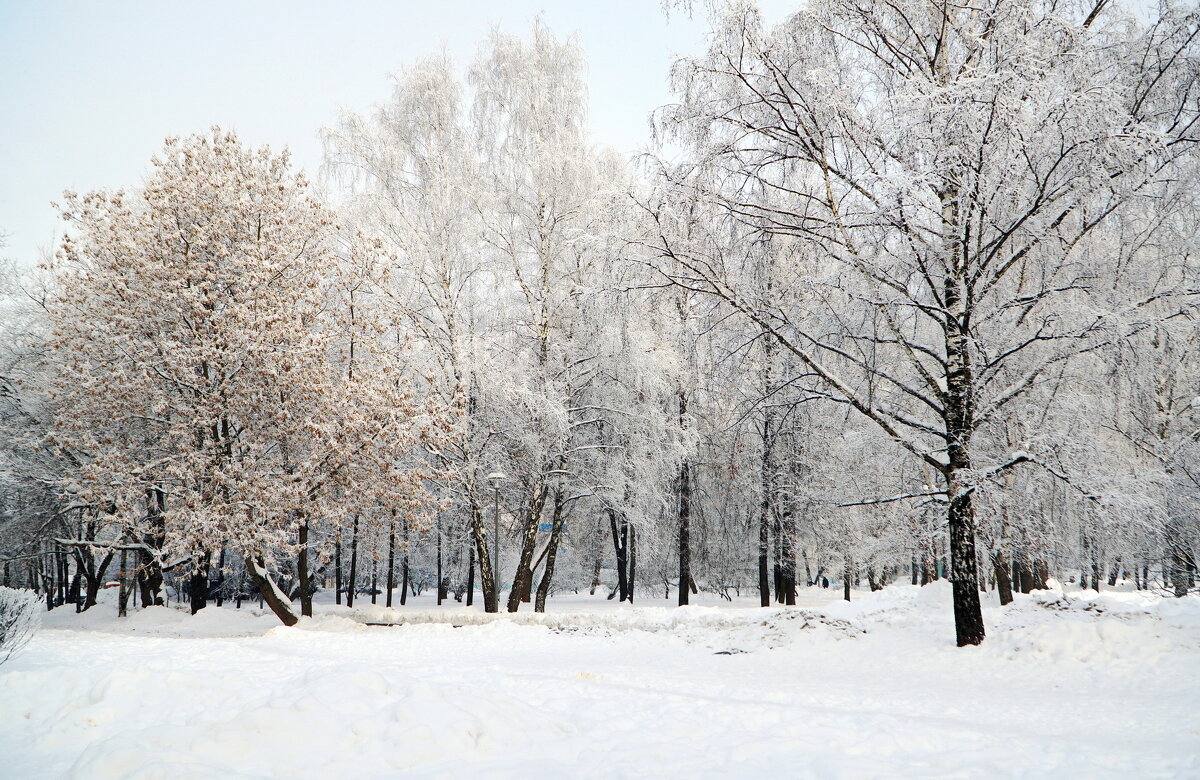 Московский январь - Юрий Шувалов
