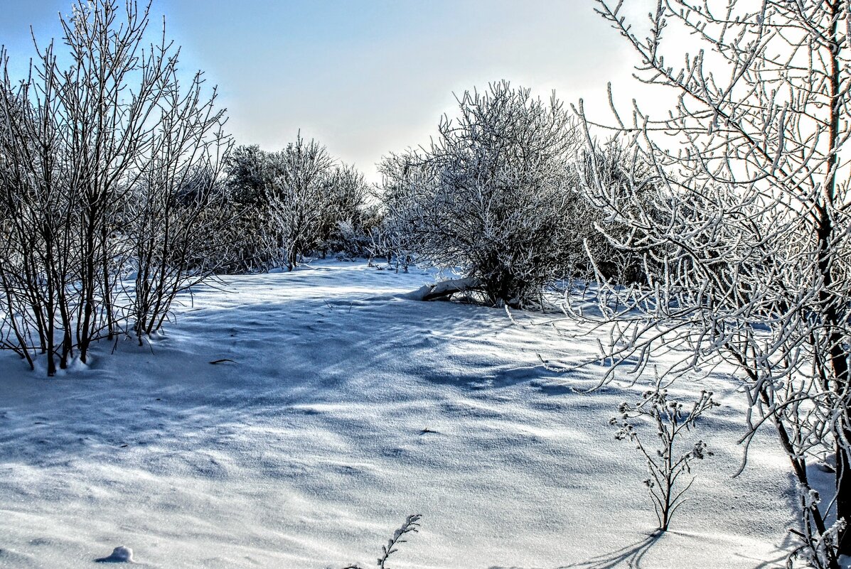 Январь. - Владимир 