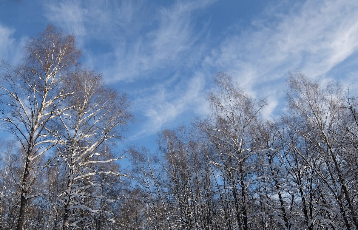 Небесные завихрения. - Люба 