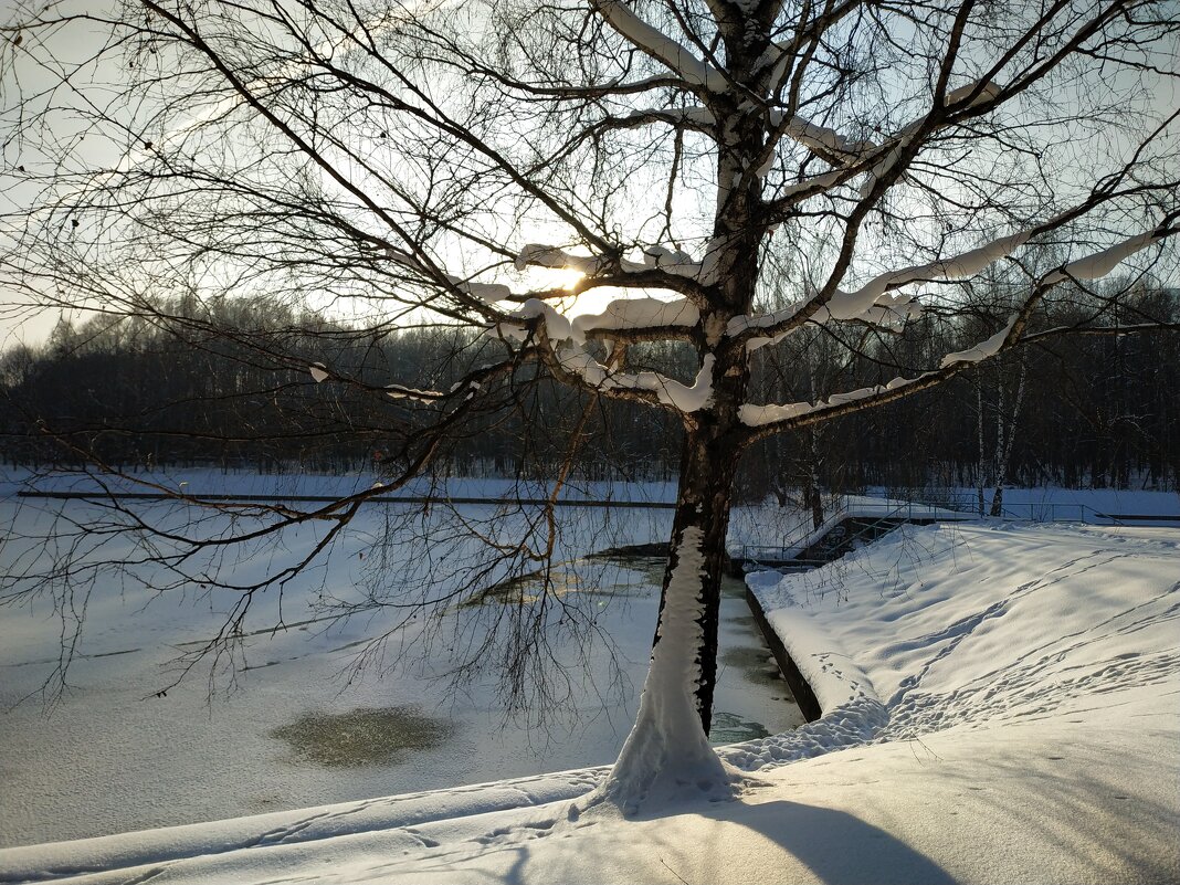Мороз и солнце, день чудесный - Андрей Лукьянов