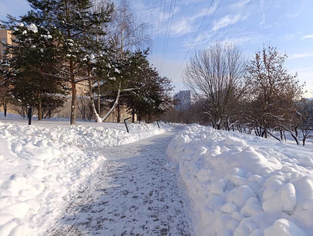 Солнечно. - tatiana 