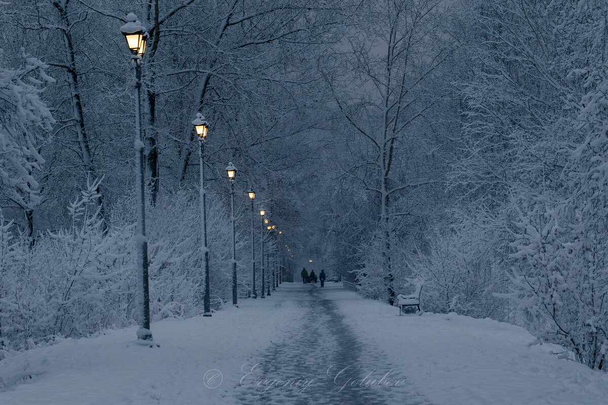 Выпал первый мокрый снег. - Евгений Голубев