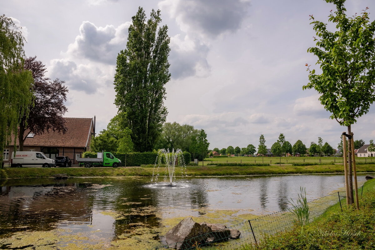 У пруда... - Николай Гирш