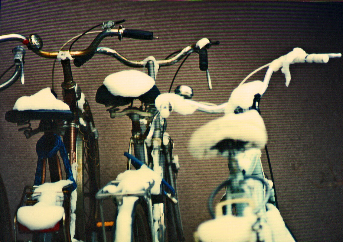 Южная зима - 16 - Алексей Кузнецов