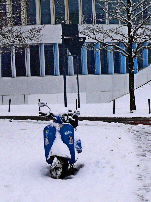 Южная зима - 19 - Алексей Кузнецов