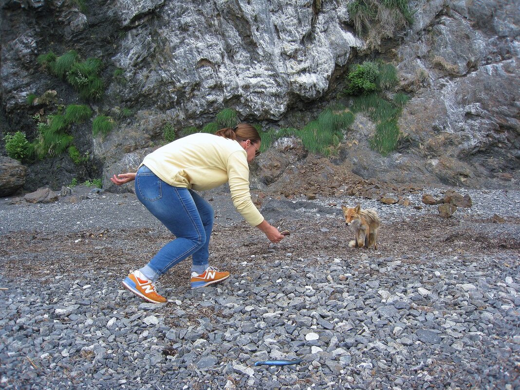 Лисёнка надо покормить! - unix (Илья Утропов)