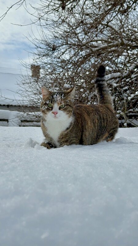 Маруся и снег. - Валентина .