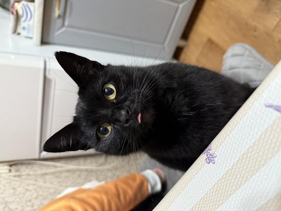 Алиса - Валентина .