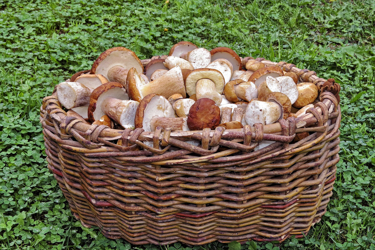 Было время... - Валерий Судачок