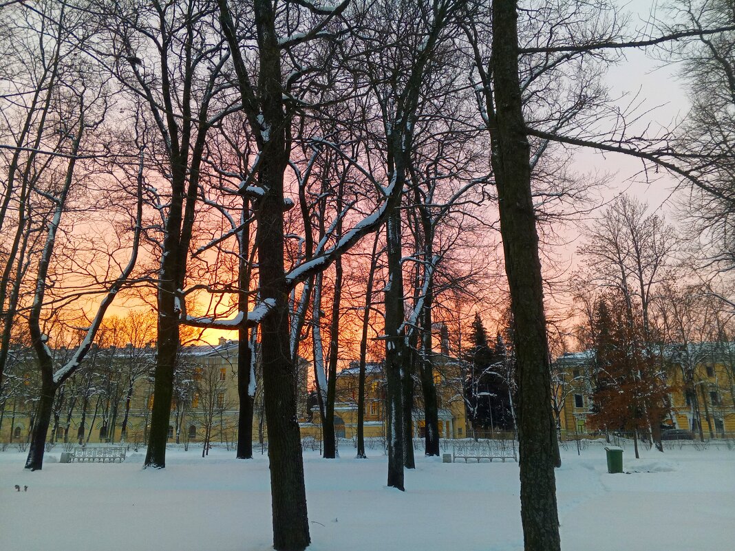 Рассвет - Сапсан 