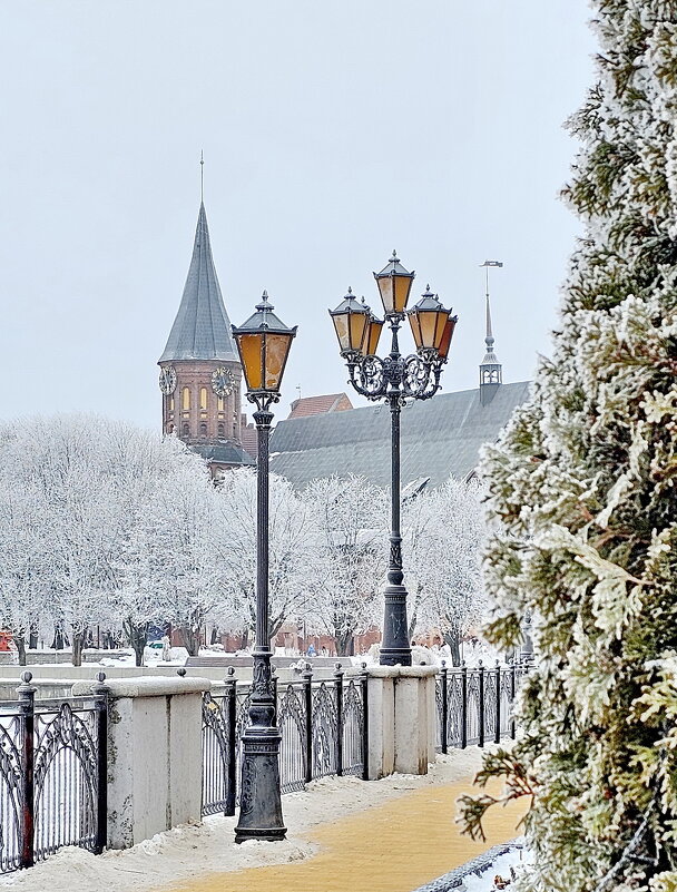 Калининград - Михаил Свиденцов