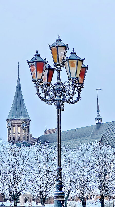 Калининград - Михаил Свиденцов