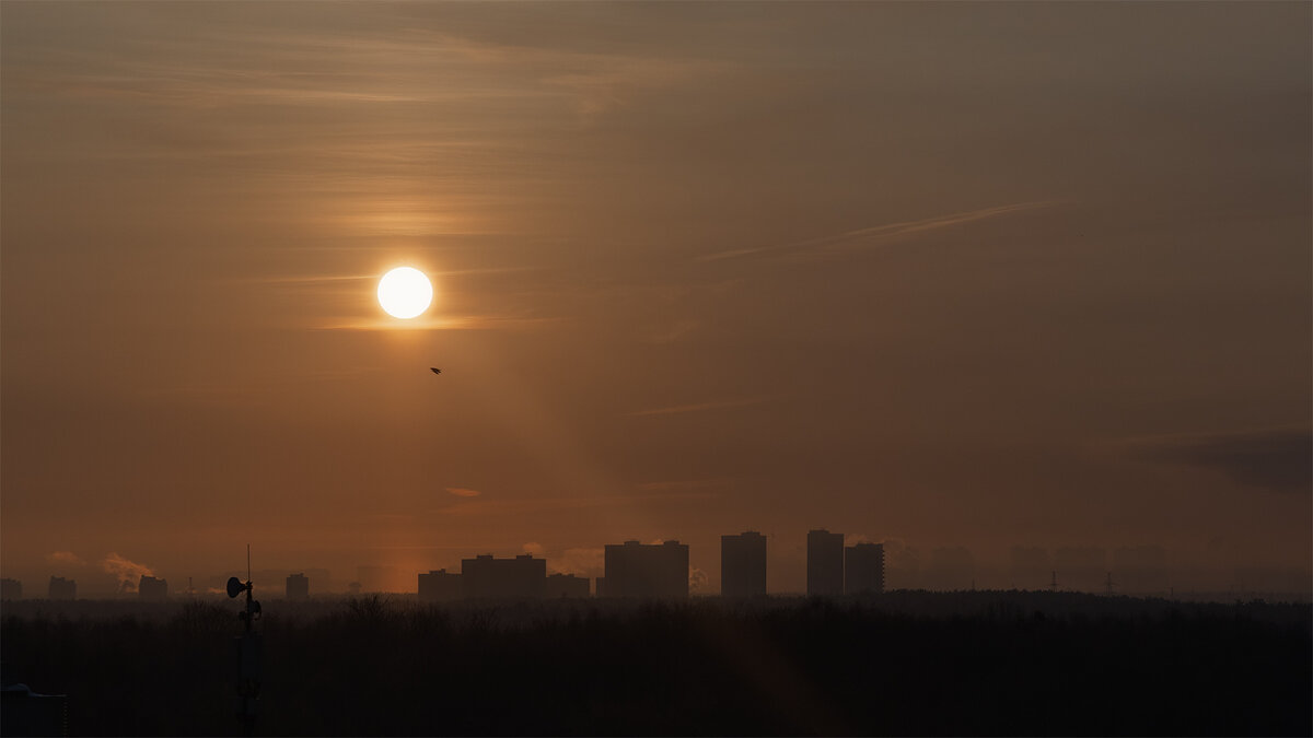 Рассвет - Michel 