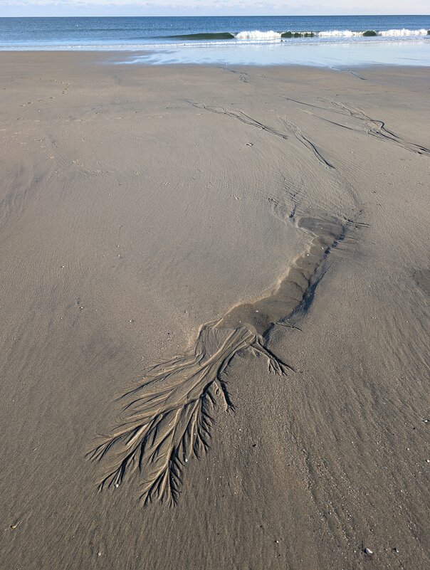 Структура на пляже - Мария Делла Структура на пляже - Мария Делла